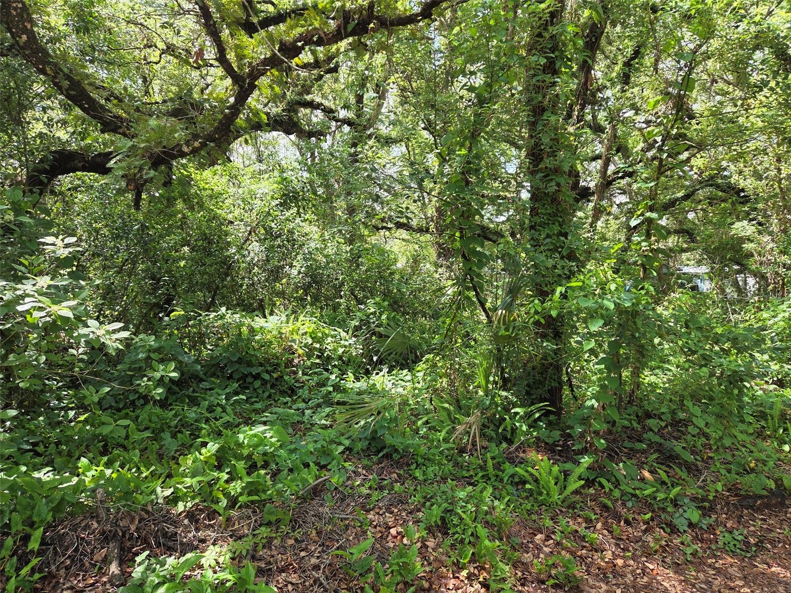 37742 GLADES LN, ZEPHYRHILLS, FL, 33542