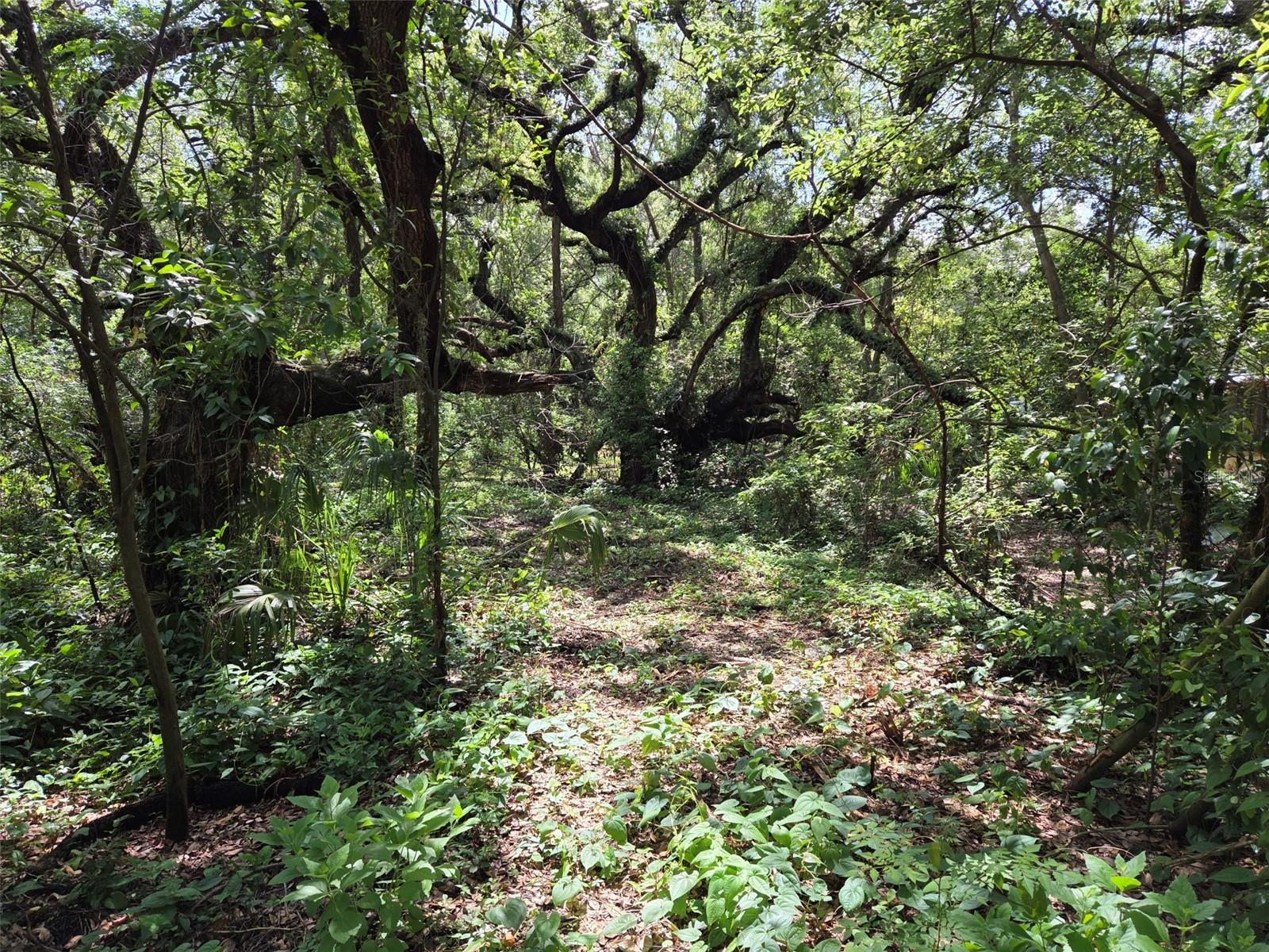 37742 GLADES LN, ZEPHYRHILLS, FL, 33542