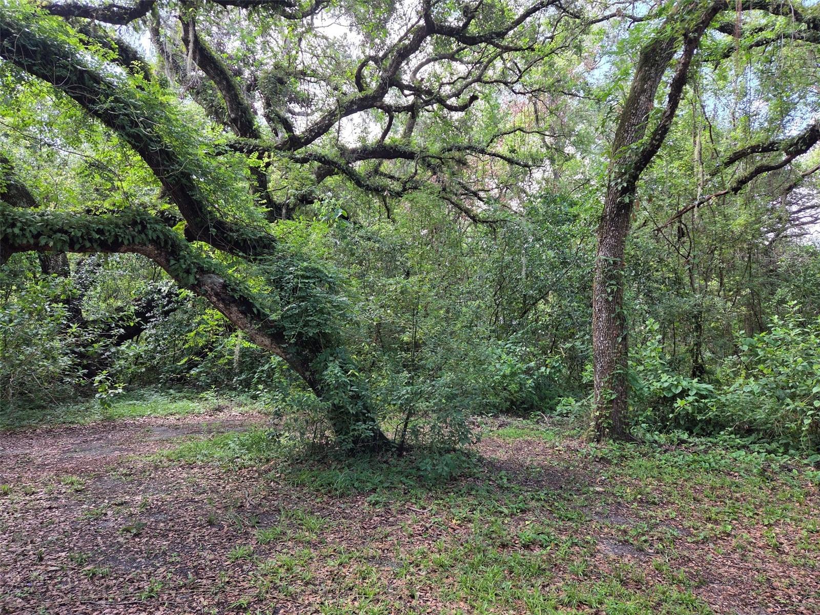 37742 GLADES LN, ZEPHYRHILLS, FL, 33542