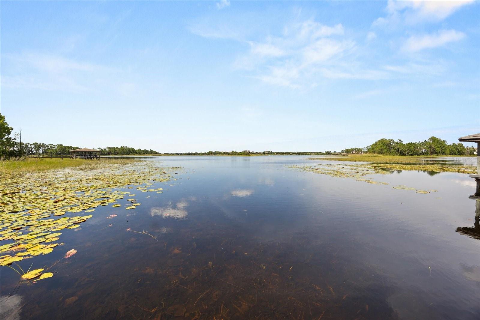 10291 ATWATER BAY DR, WINTER GARDEN, FL, 34787