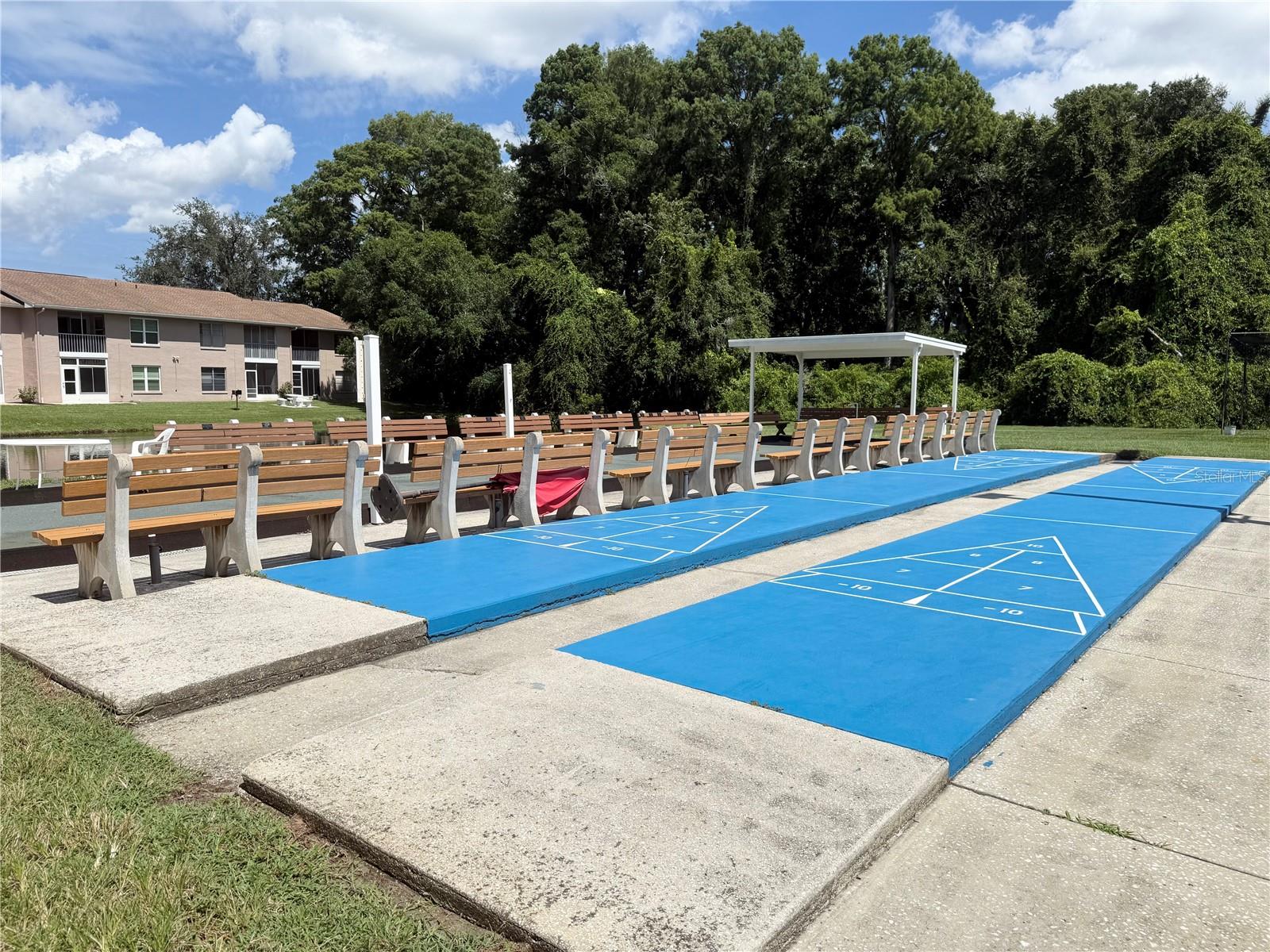Shuffleboard