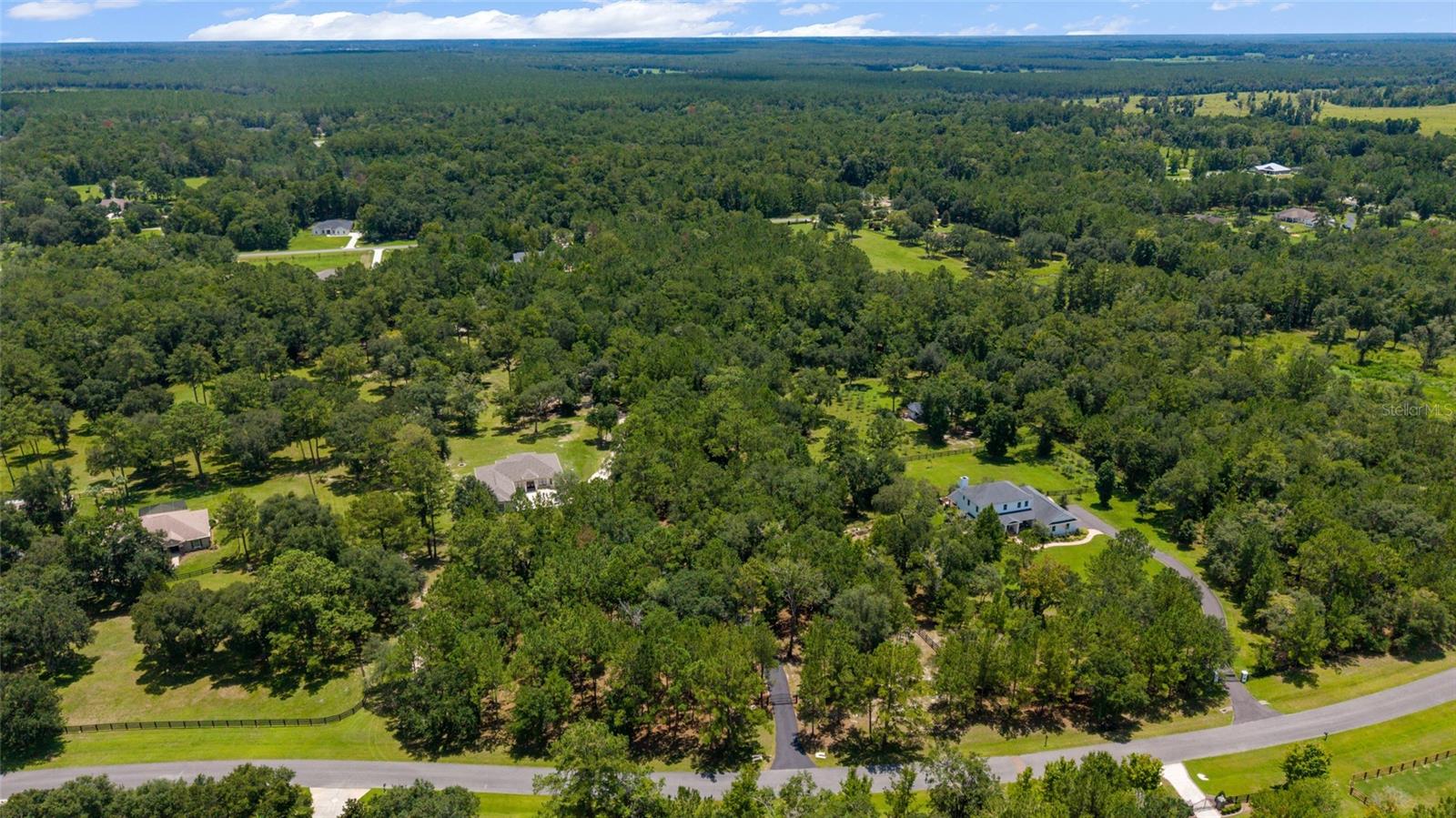 14479 NW 147TH CT, WILLISTON, FL, 32696