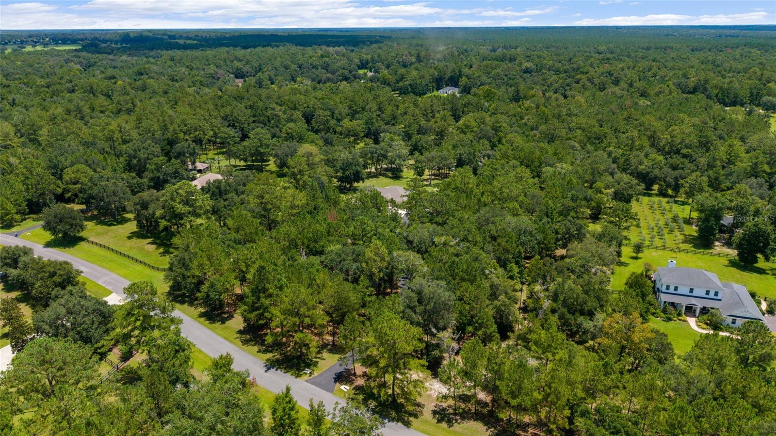 14479 NW 147TH CT, WILLISTON, FL, 32696