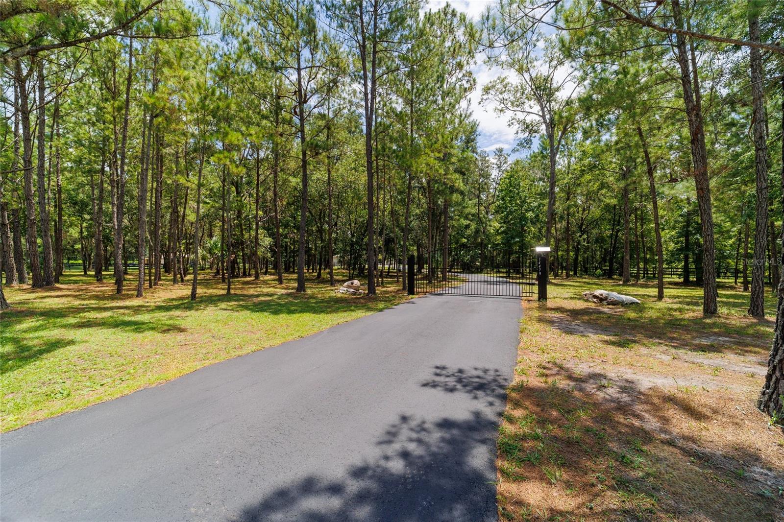 14479 NW 147TH CT, WILLISTON, FL, 32696