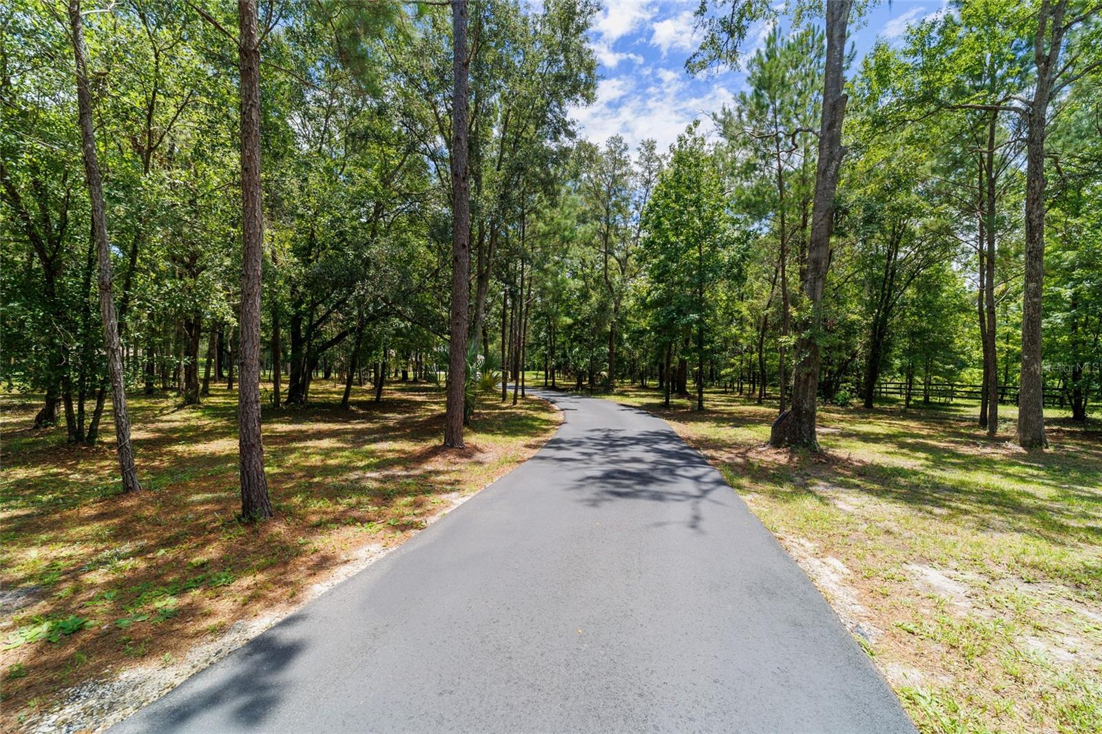 14479 NW 147TH CT, WILLISTON, FL, 32696