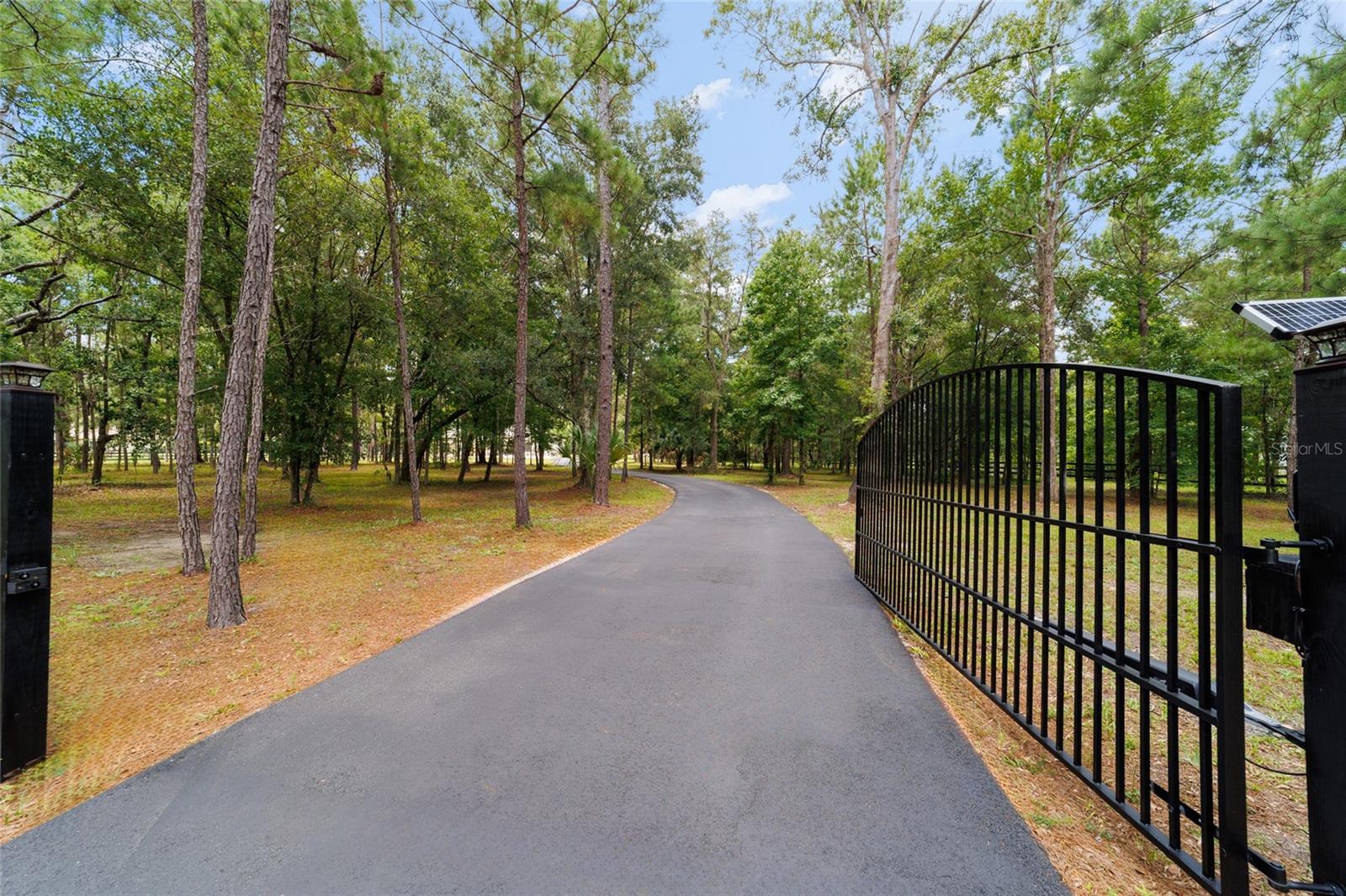 14479 NW 147TH CT, WILLISTON, FL, 32696