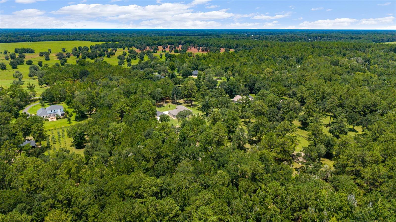 14479 NW 147TH CT, WILLISTON, FL, 32696