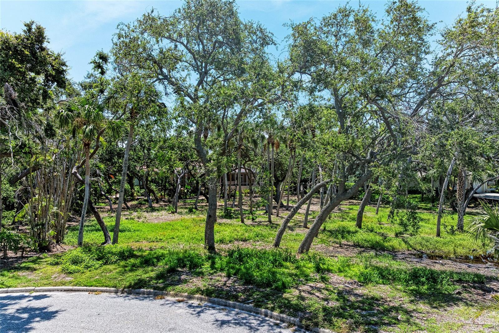 3341 SABAL COVE PL, LONGBOAT KEY, FL, 34228