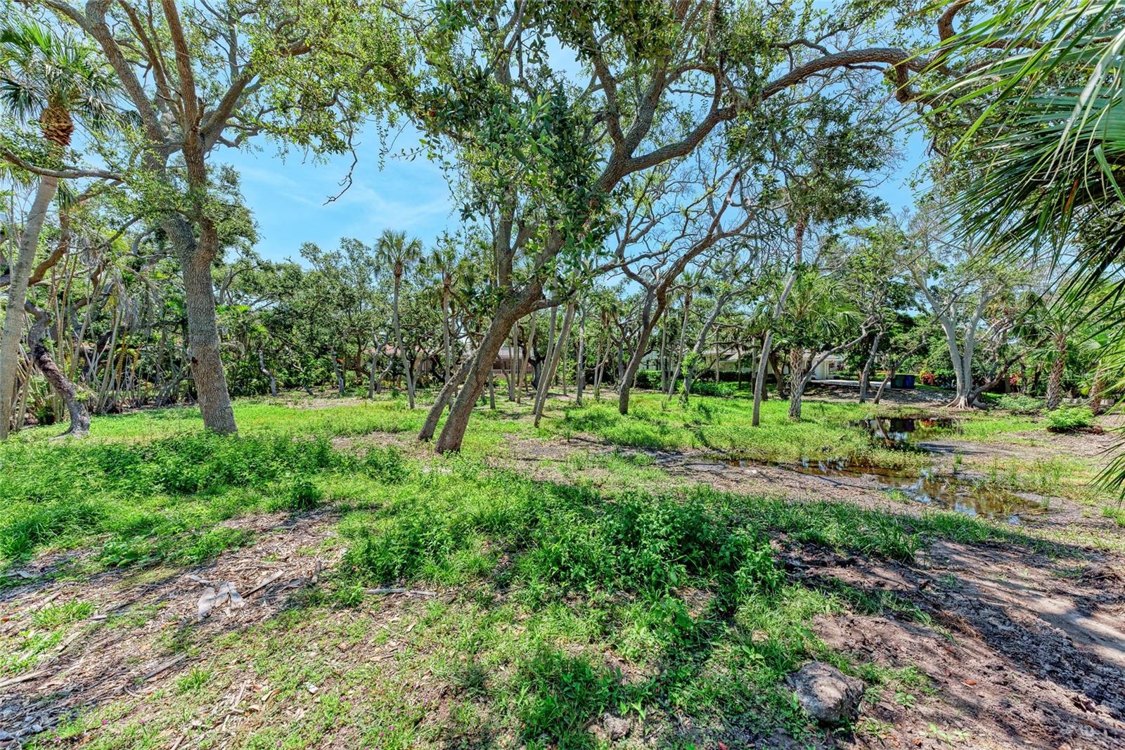 3341 SABAL COVE PL, LONGBOAT KEY, FL, 34228