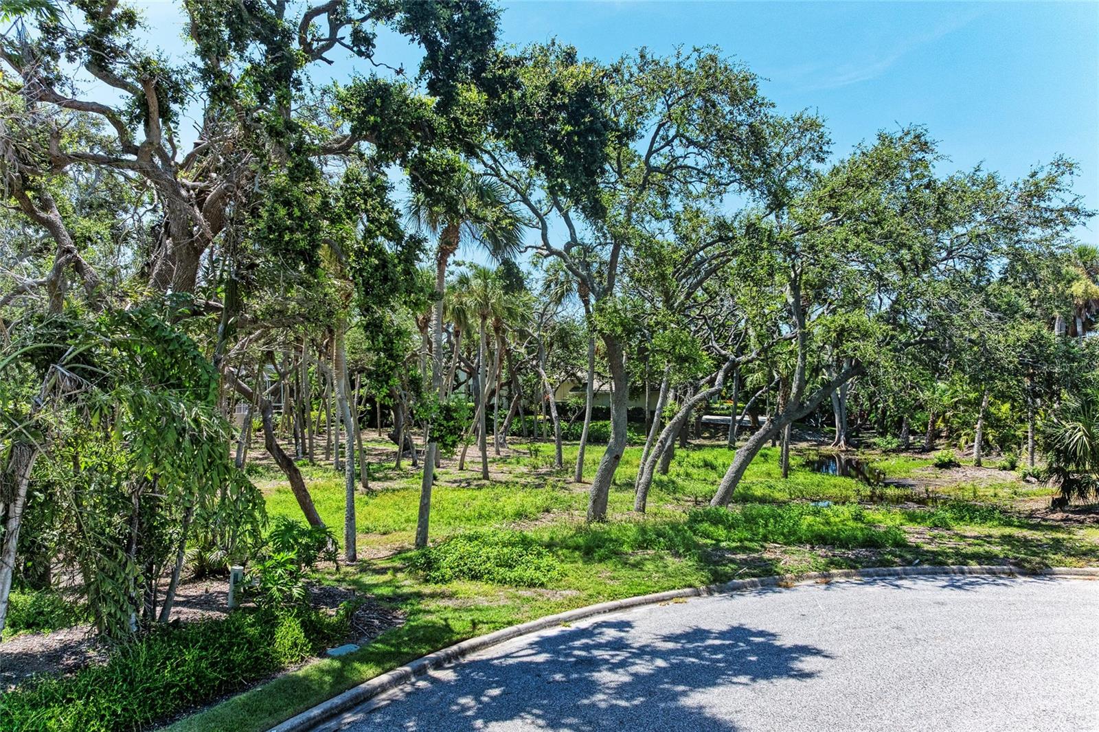 3341 SABAL COVE PL, LONGBOAT KEY, FL, 34228