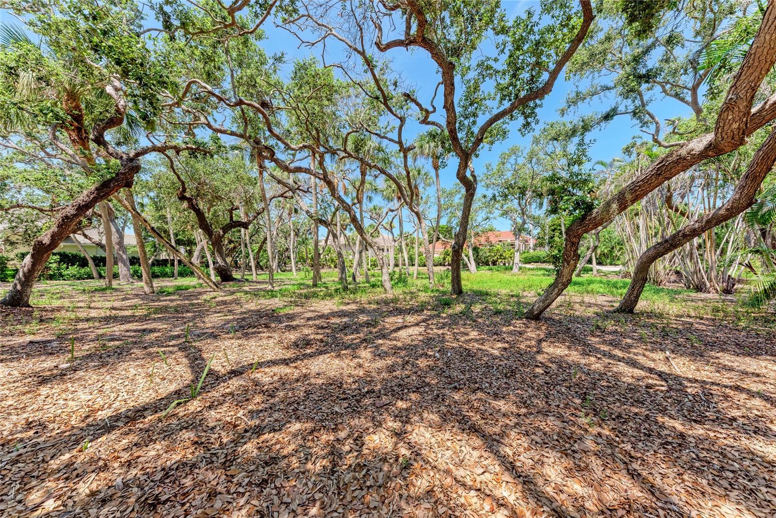 3341 SABAL COVE PL, LONGBOAT KEY, FL, 34228