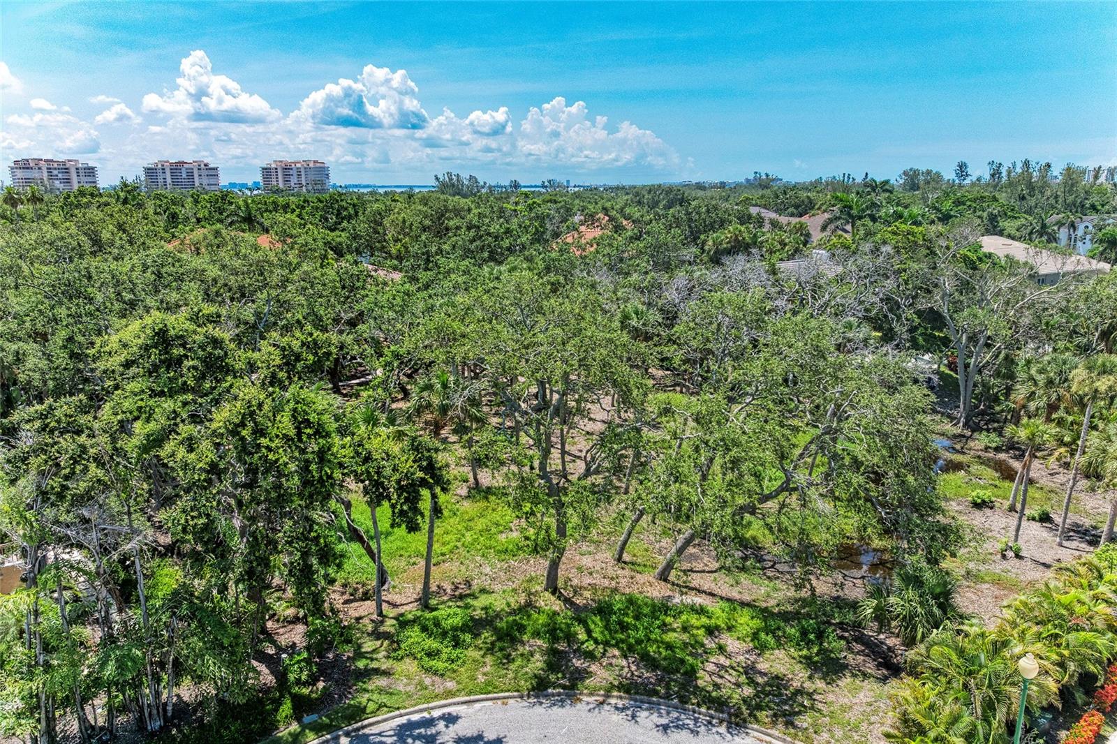 3341 SABAL COVE PL, LONGBOAT KEY, FL, 34228