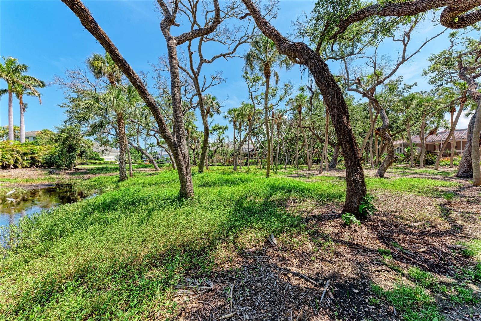 3341 SABAL COVE PL, LONGBOAT KEY, FL, 34228