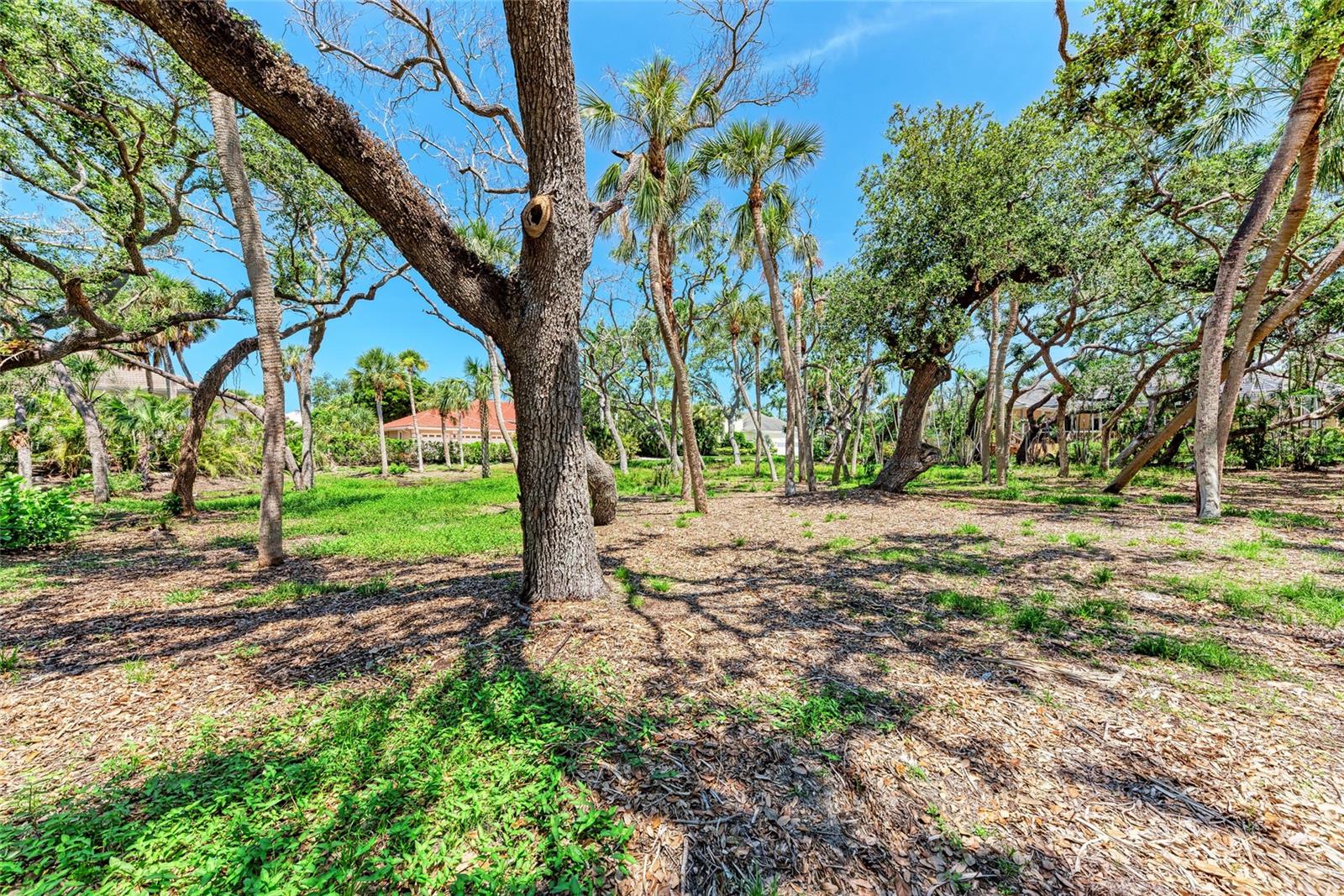 3341 SABAL COVE PL, LONGBOAT KEY, FL, 34228