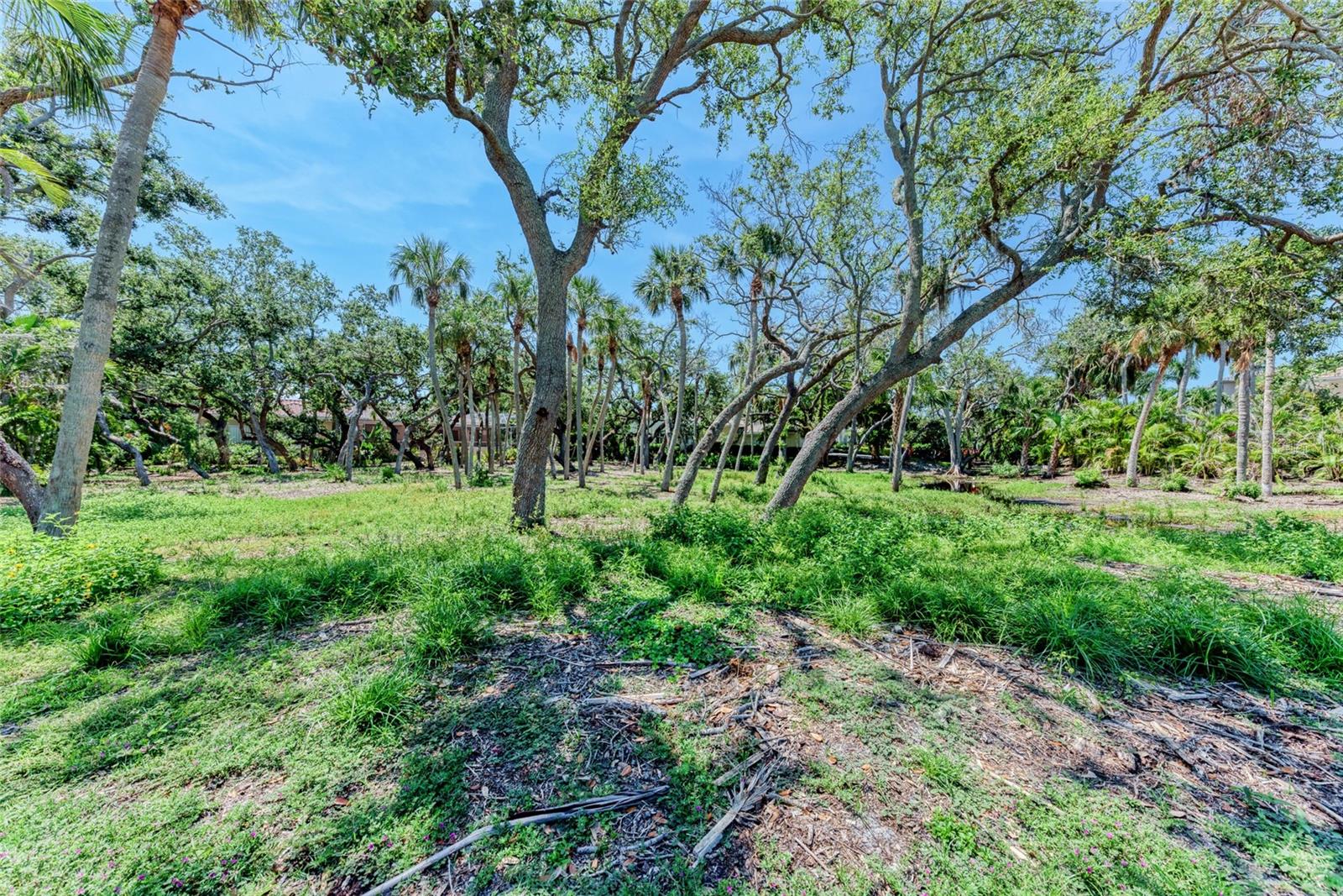 3341 SABAL COVE PL, LONGBOAT KEY, FL, 34228