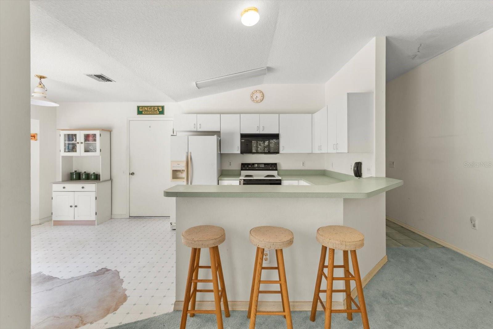 2815 N HAMLIN TER, HERNANDO, FL, 34442