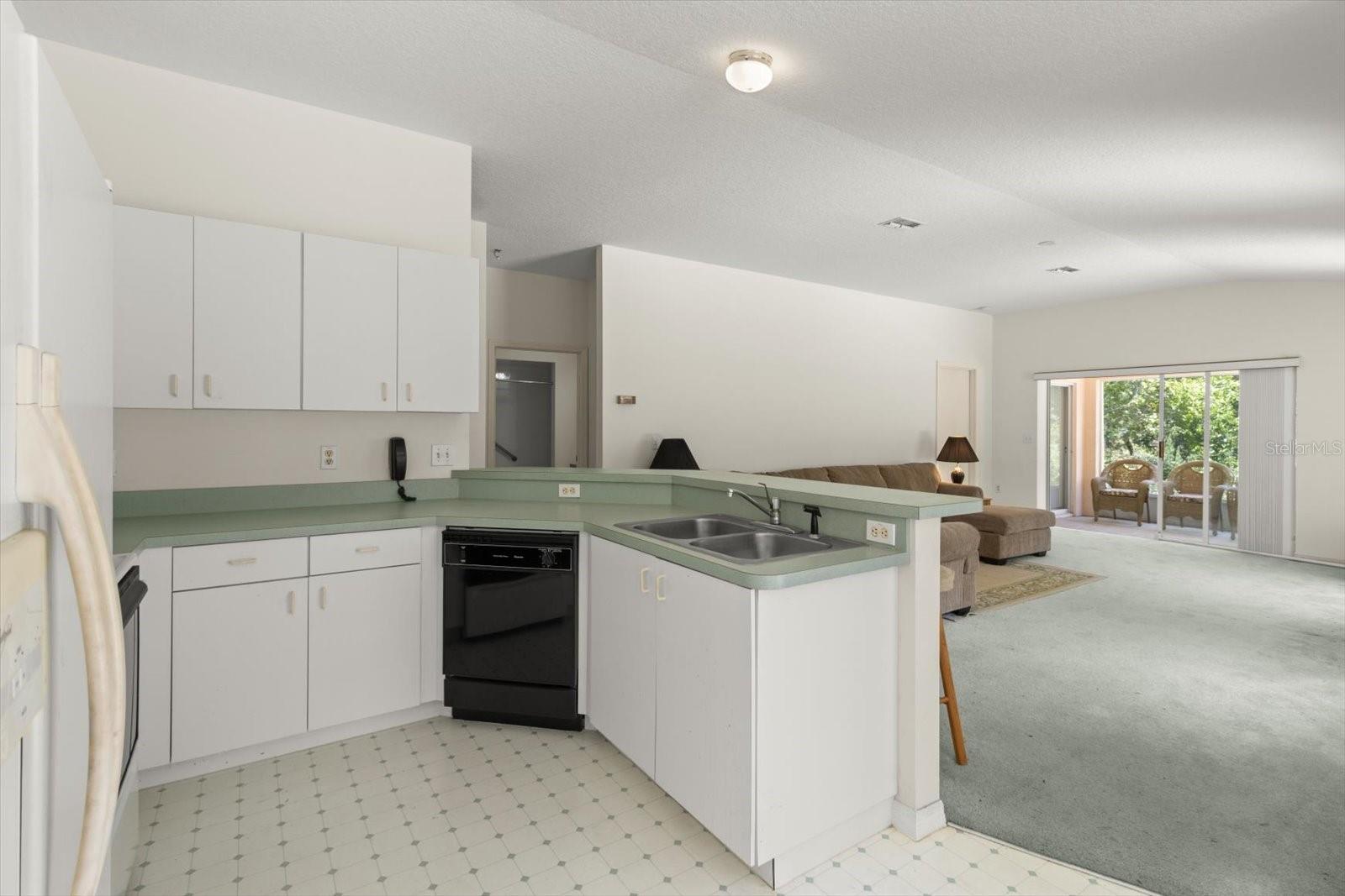 2815 N HAMLIN TER, HERNANDO, FL, 34442