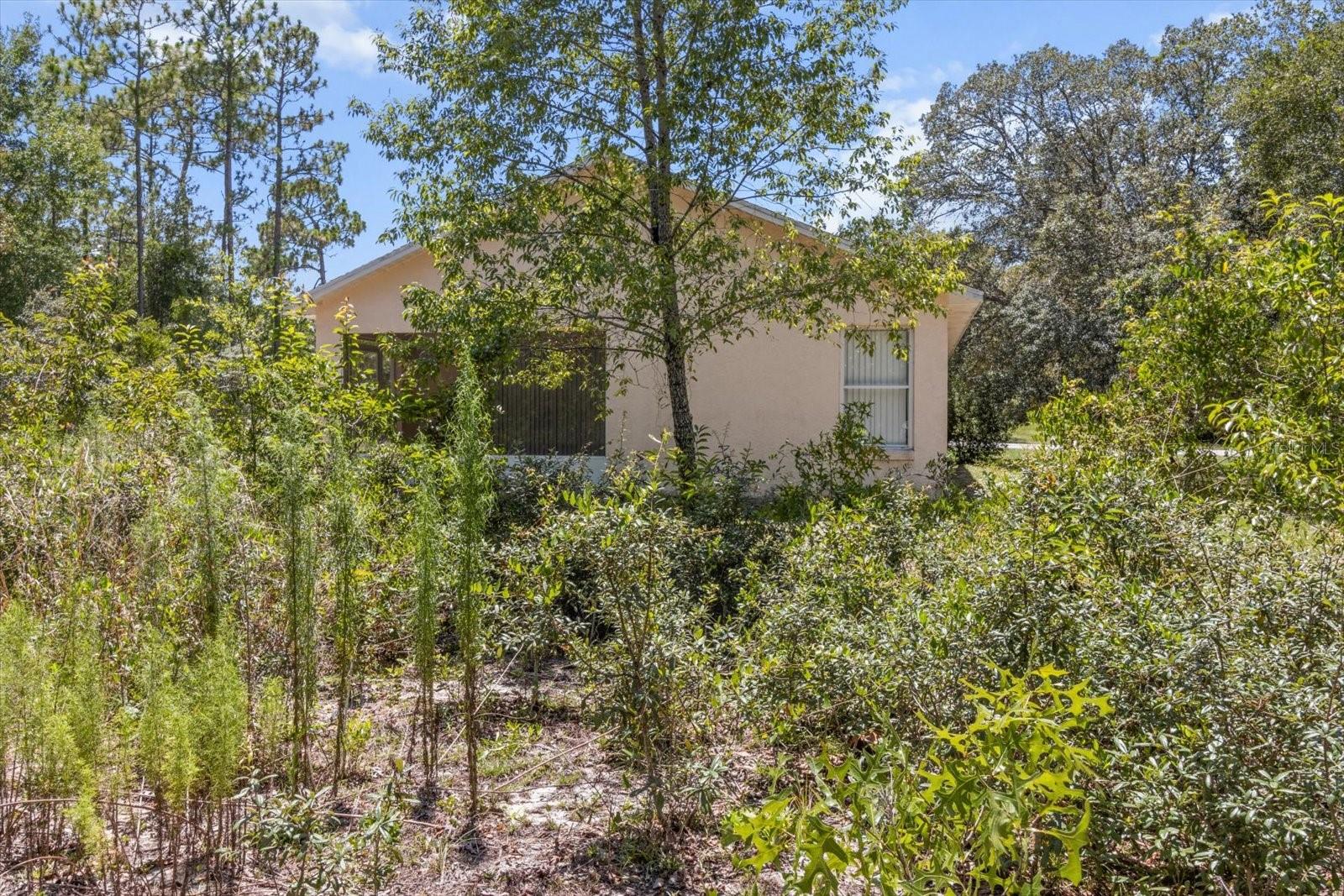 2815 N HAMLIN TER, HERNANDO, FL, 34442