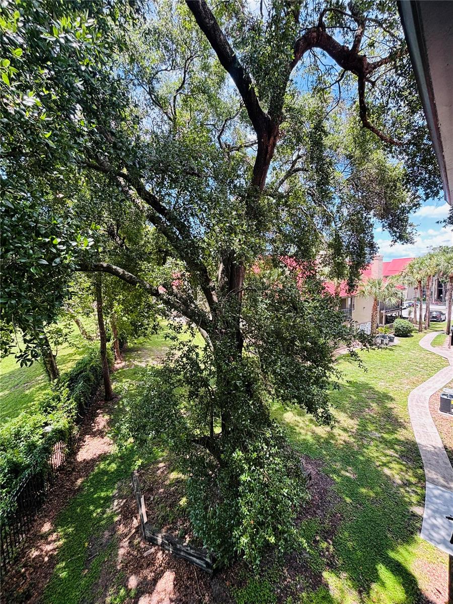 238 AFTON SQ #302, ALTAMONTE SPRINGS, FL, 32714