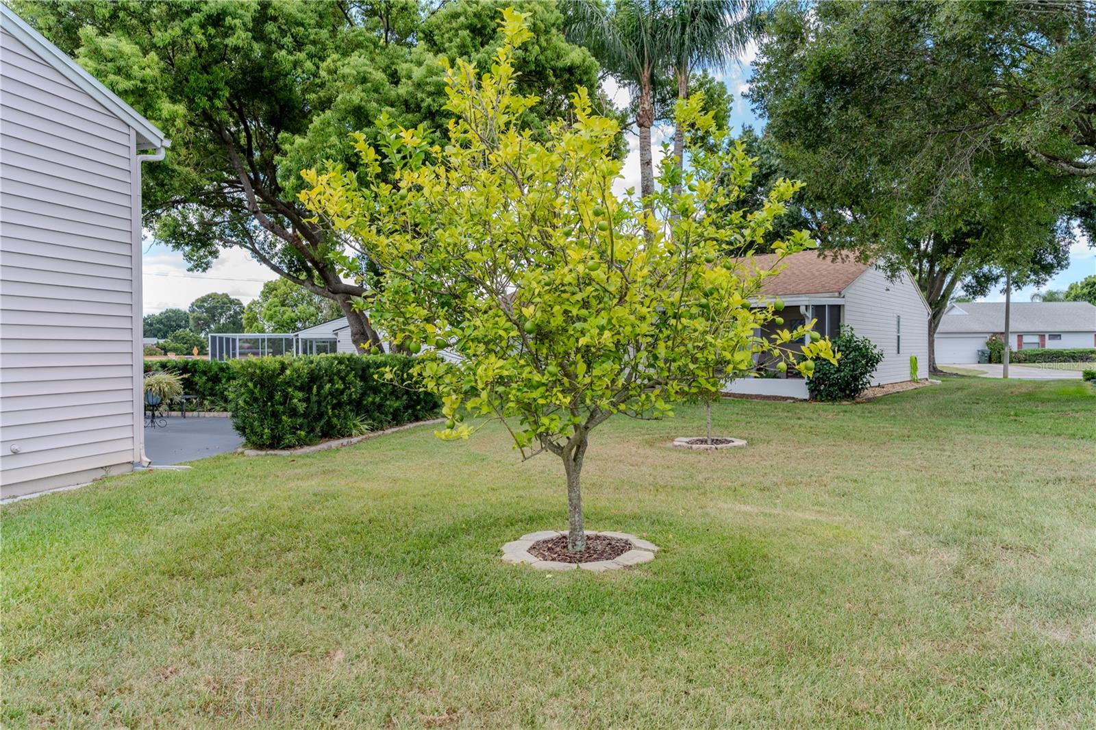 1020 CARACARA CIR N, LAKELAND, FL, 33809