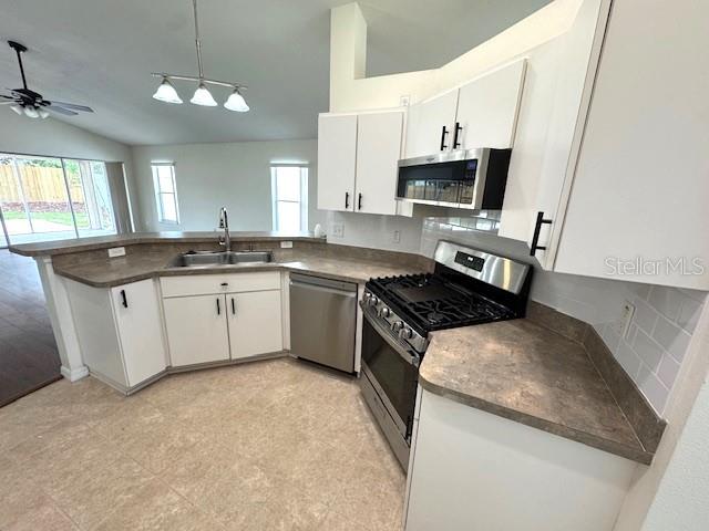 24838 OAKHAVEN CT, LUTZ, FL, 33559