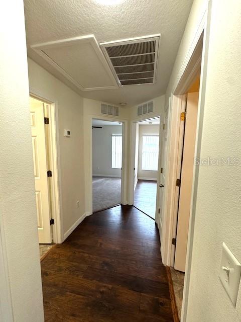 24838 OAKHAVEN CT, LUTZ, FL, 33559