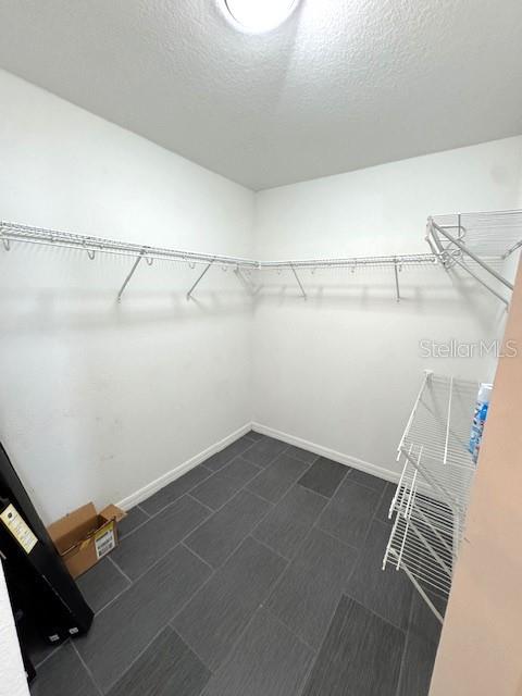 24838 OAKHAVEN CT, LUTZ, FL, 33559