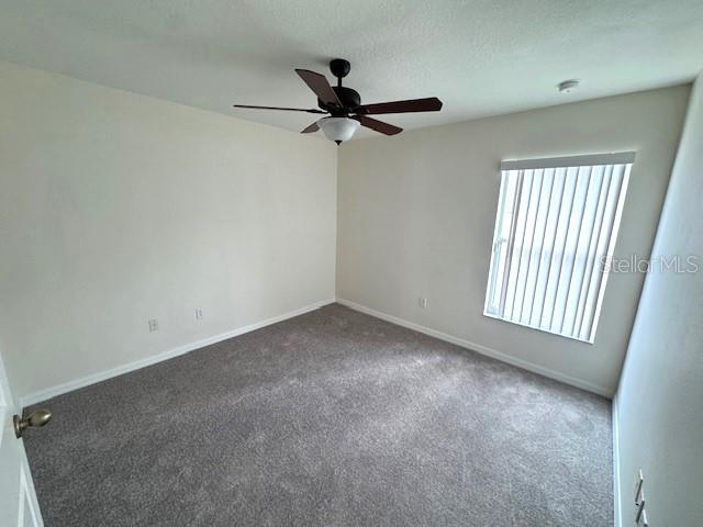 24838 OAKHAVEN CT, LUTZ, FL, 33559