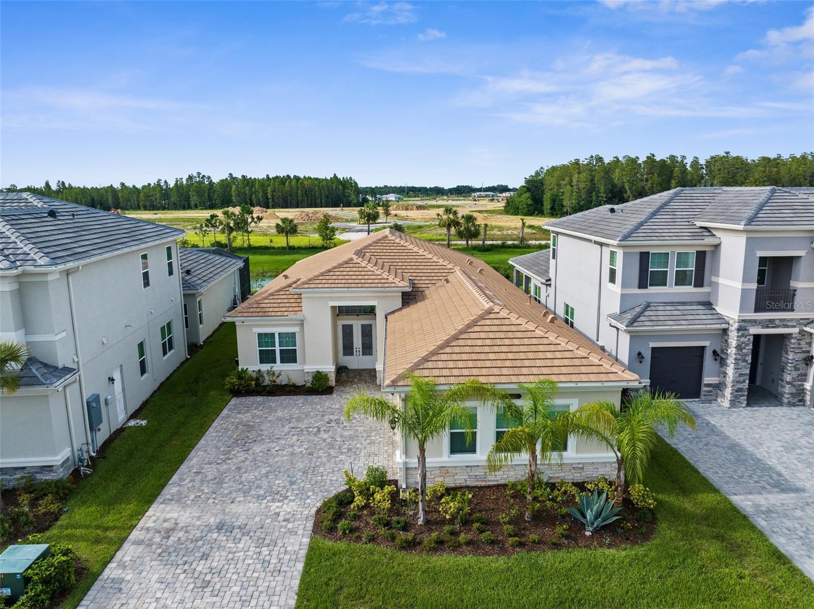 32309 ROSEWOOD MEADOW LN, WESLEY CHAPEL, FL, 33543