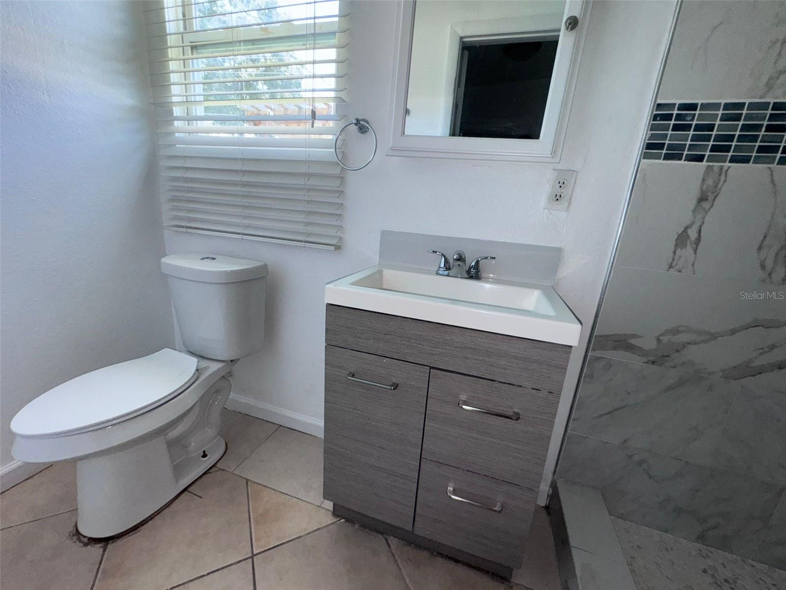 6017 BLOSSOM AVE, TAMPA, FL, 33614