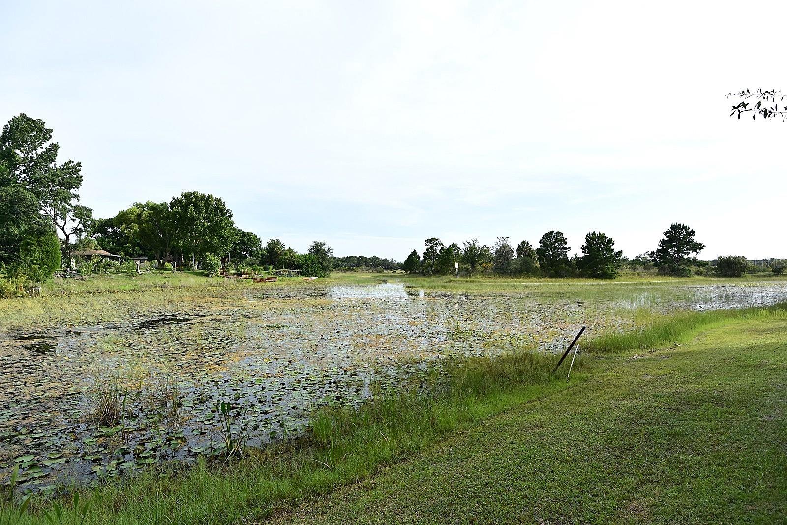 370 TELFORD CT, SPRING HILL, FL, 34606