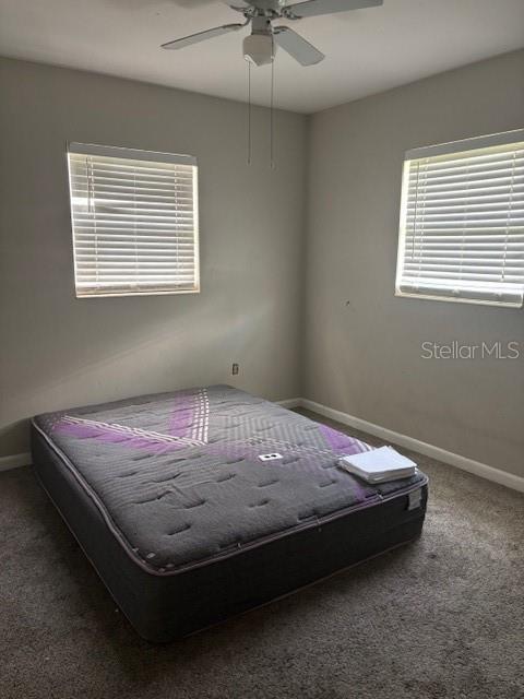 4700 SERENA DR, TAMPA, FL, 33617