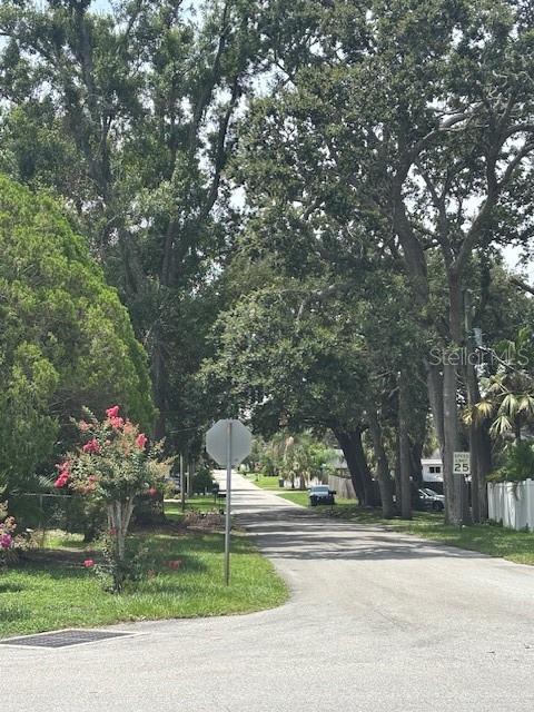 4700 SERENA DR, TAMPA, FL, 33617