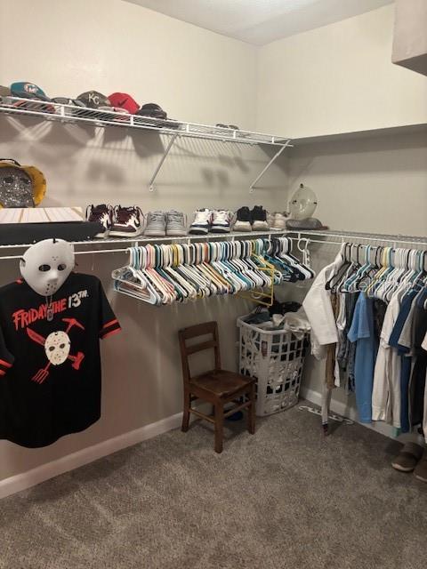 4700 SERENA DR, TAMPA, FL, 33617