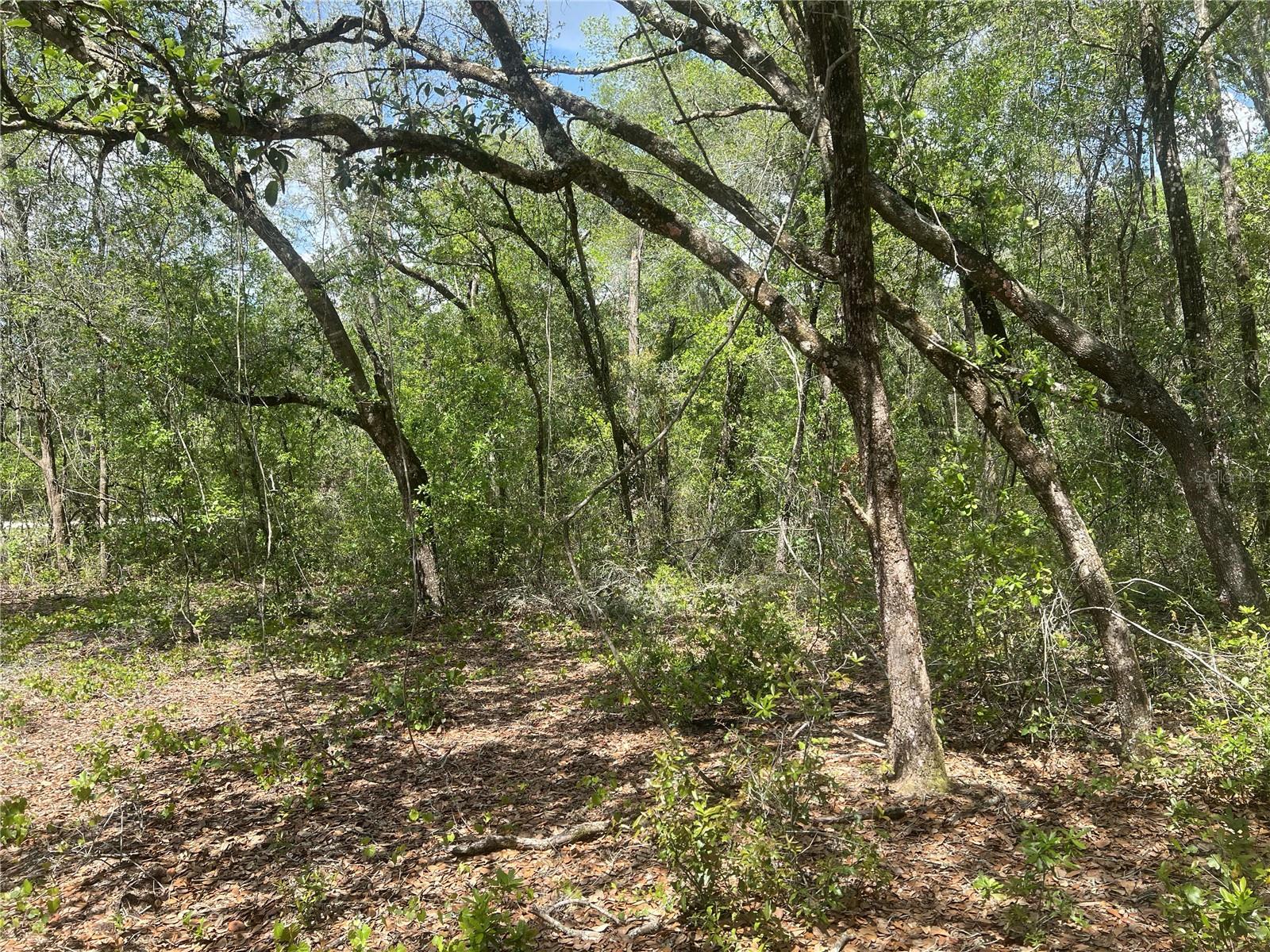 2205 ADAMS ST, INVERNESS, FL, 34453