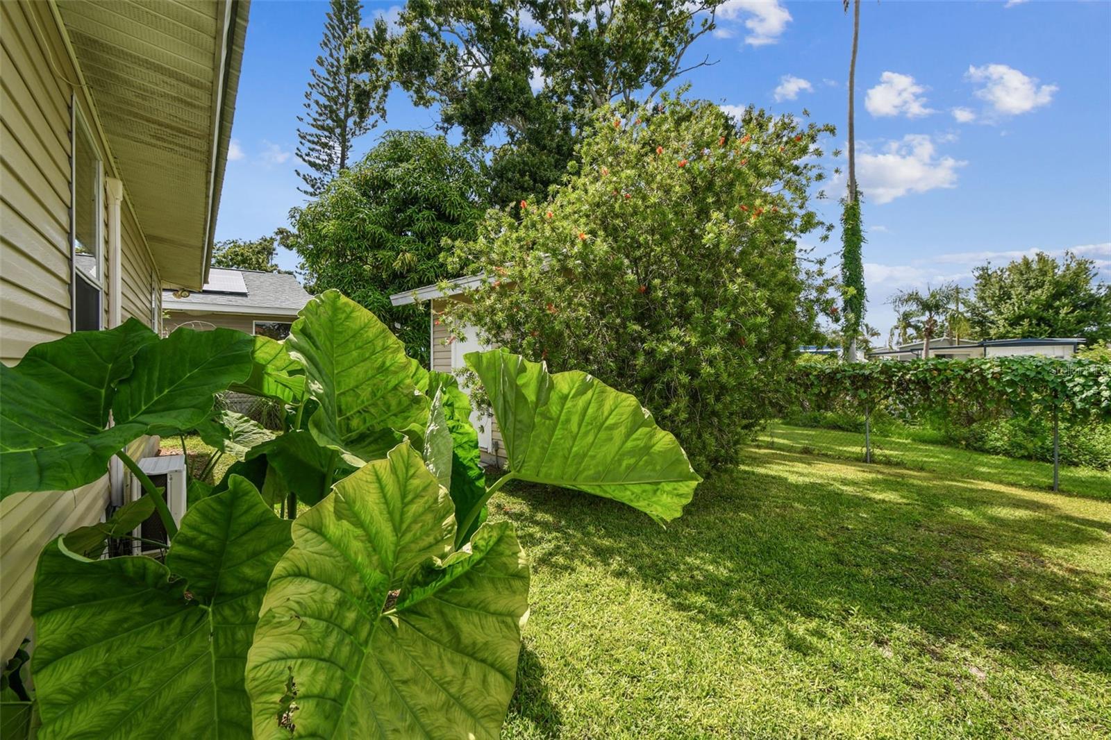 2504 42ND AVE N, ST PETERSBURG, FL, 33714