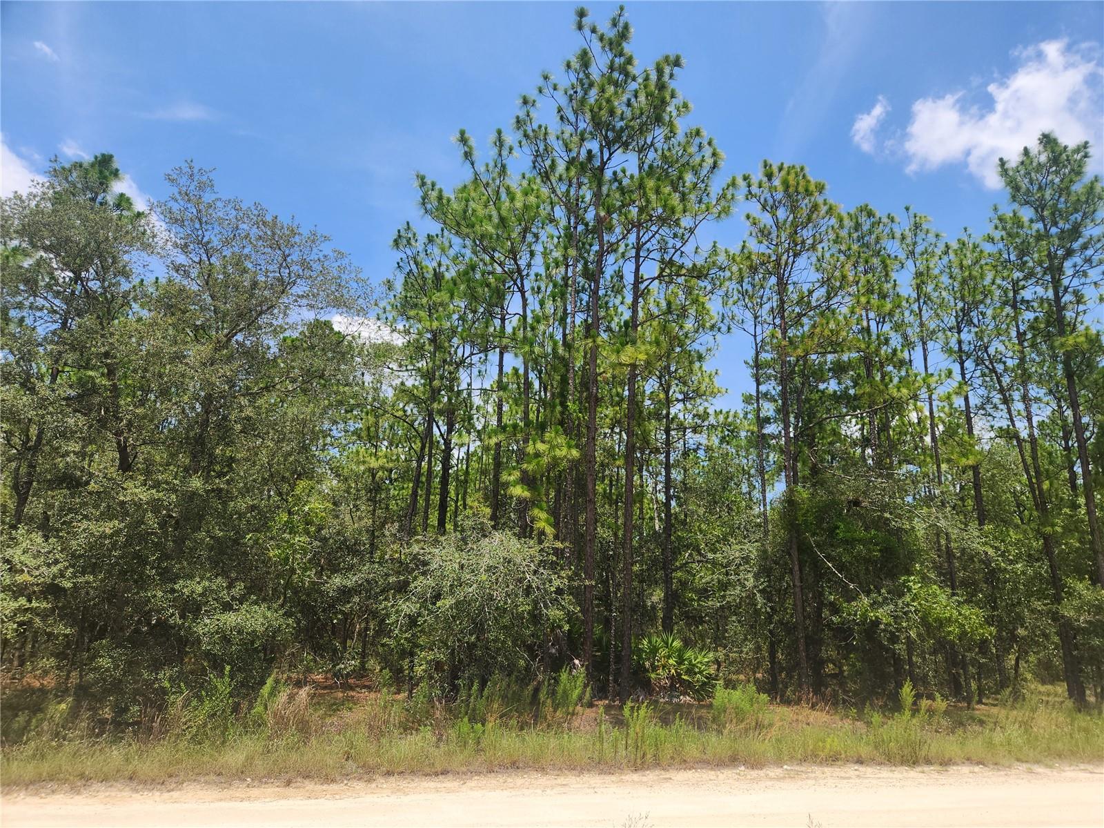 SW 76 LN, DUNNELLON, FL, 34432