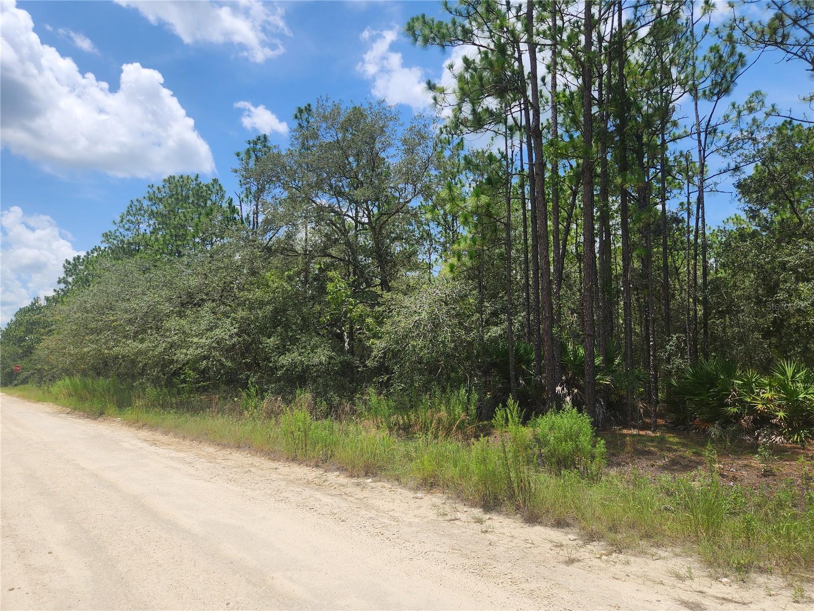 SW 76 LN, DUNNELLON, FL, 34432
