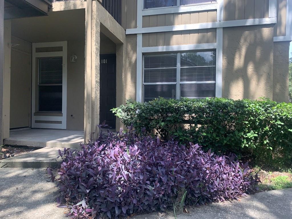 14312 HANGING MOSS CIR #101, TAMPA, FL, 33613