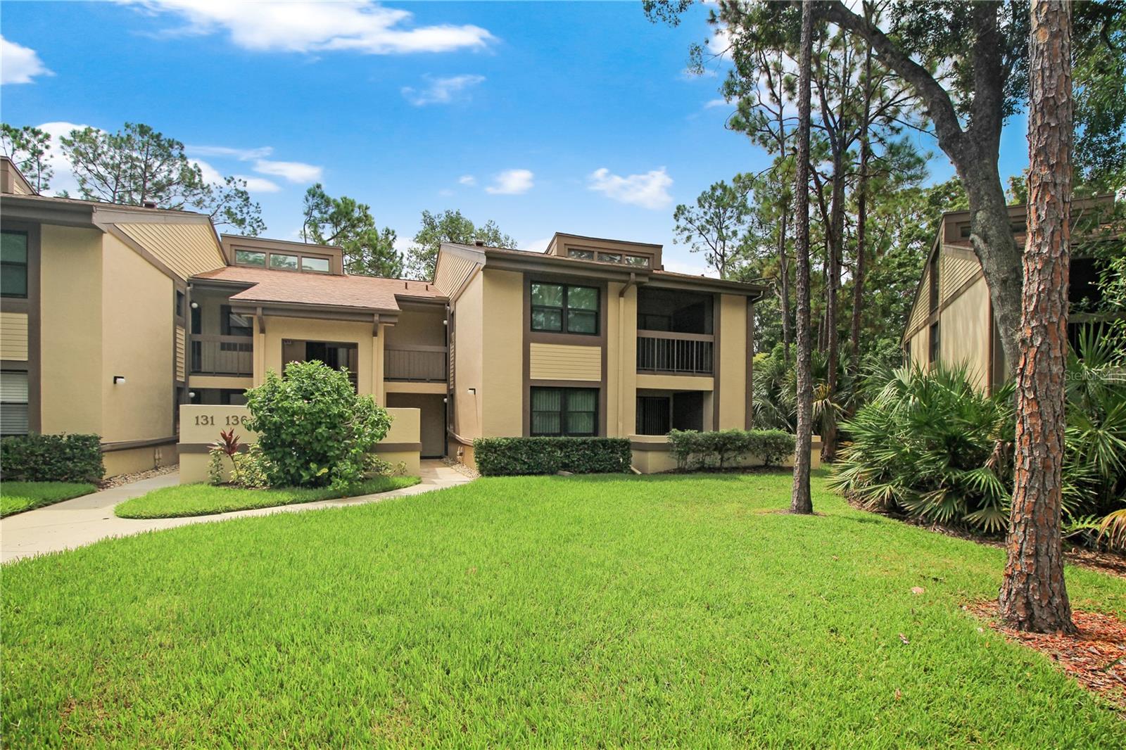 135 WOODLAKE WYNDE #135, OLDSMAR, FL, 34677