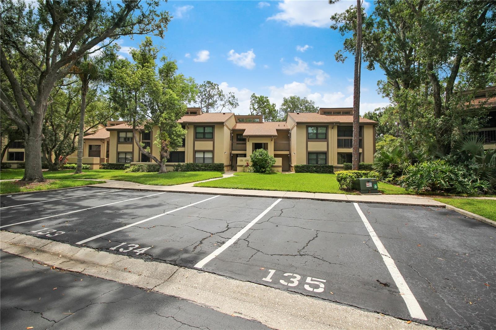 135 WOODLAKE WYNDE #135, OLDSMAR, FL, 34677