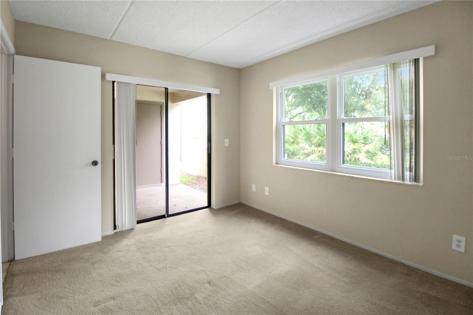 135 WOODLAKE WYNDE #135, OLDSMAR, FL, 34677