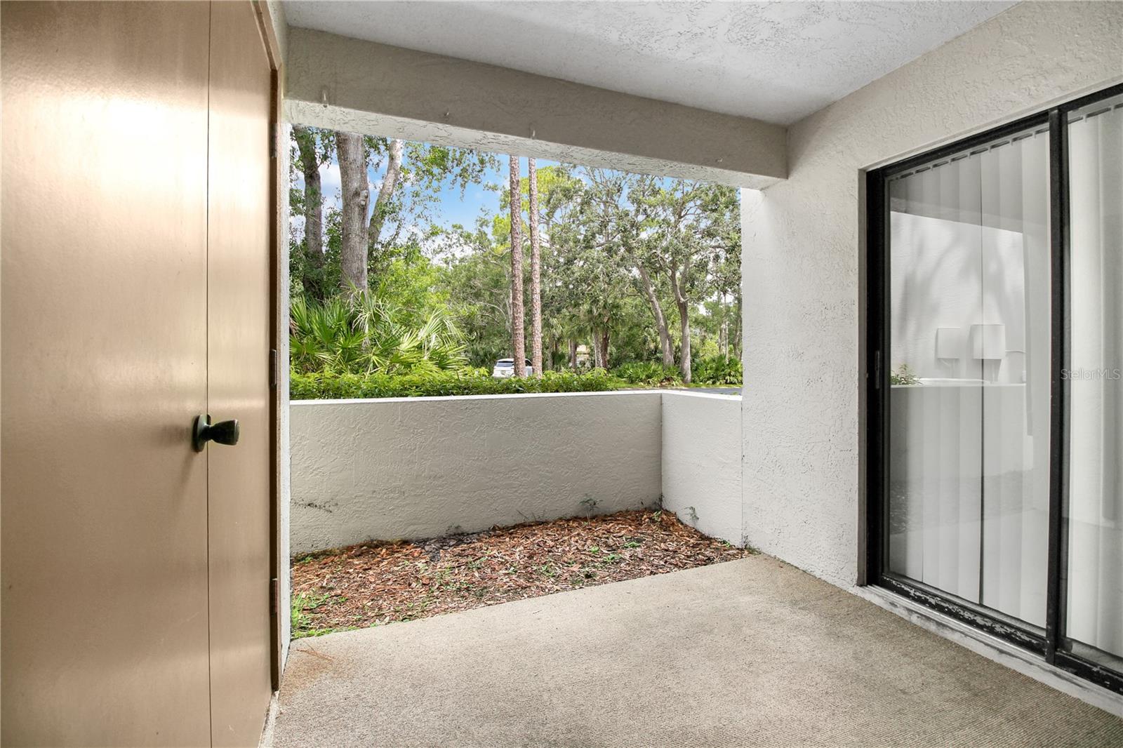 135 WOODLAKE WYNDE #135, OLDSMAR, FL, 34677