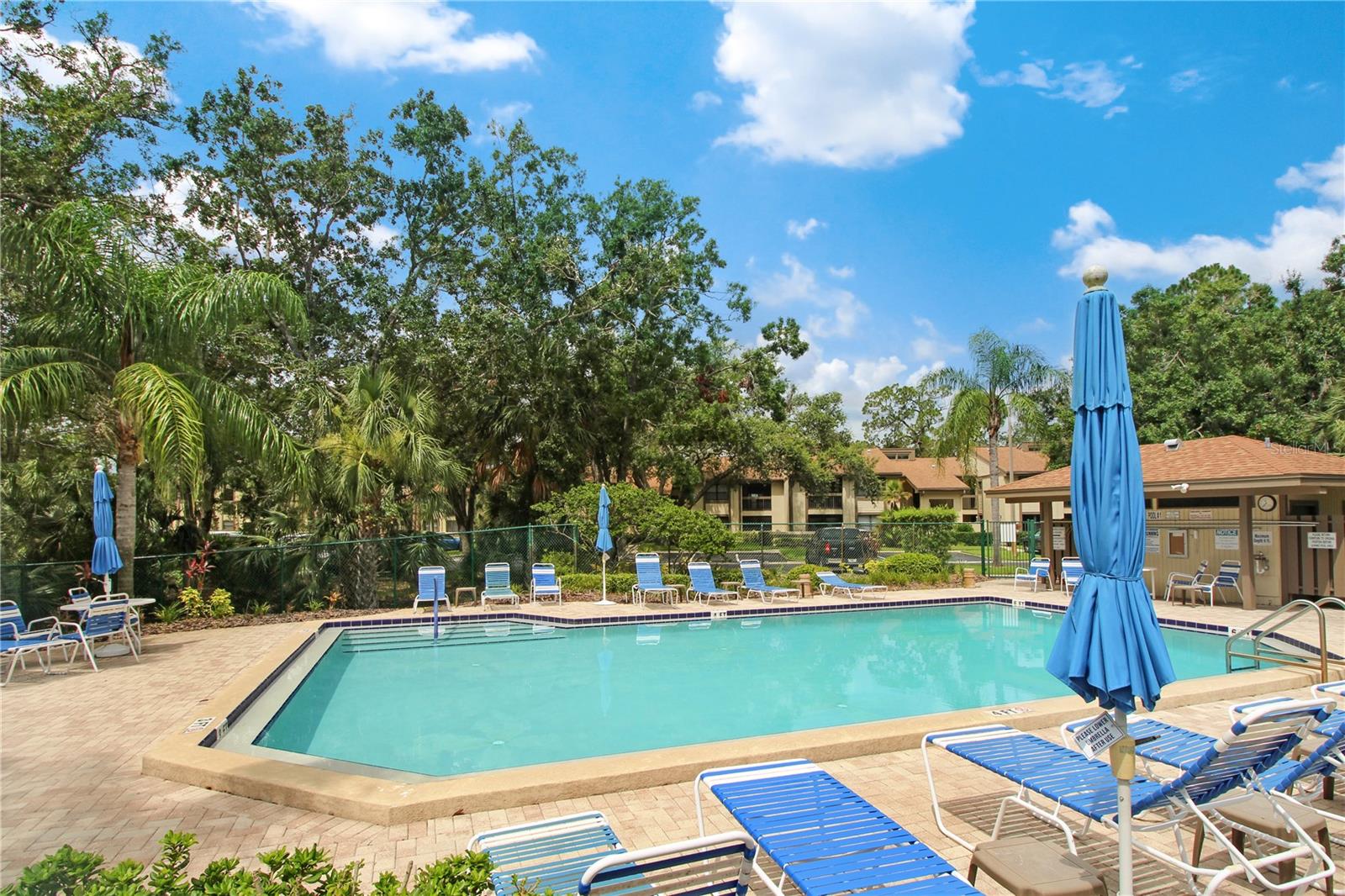 135 WOODLAKE WYNDE #135, OLDSMAR, FL, 34677