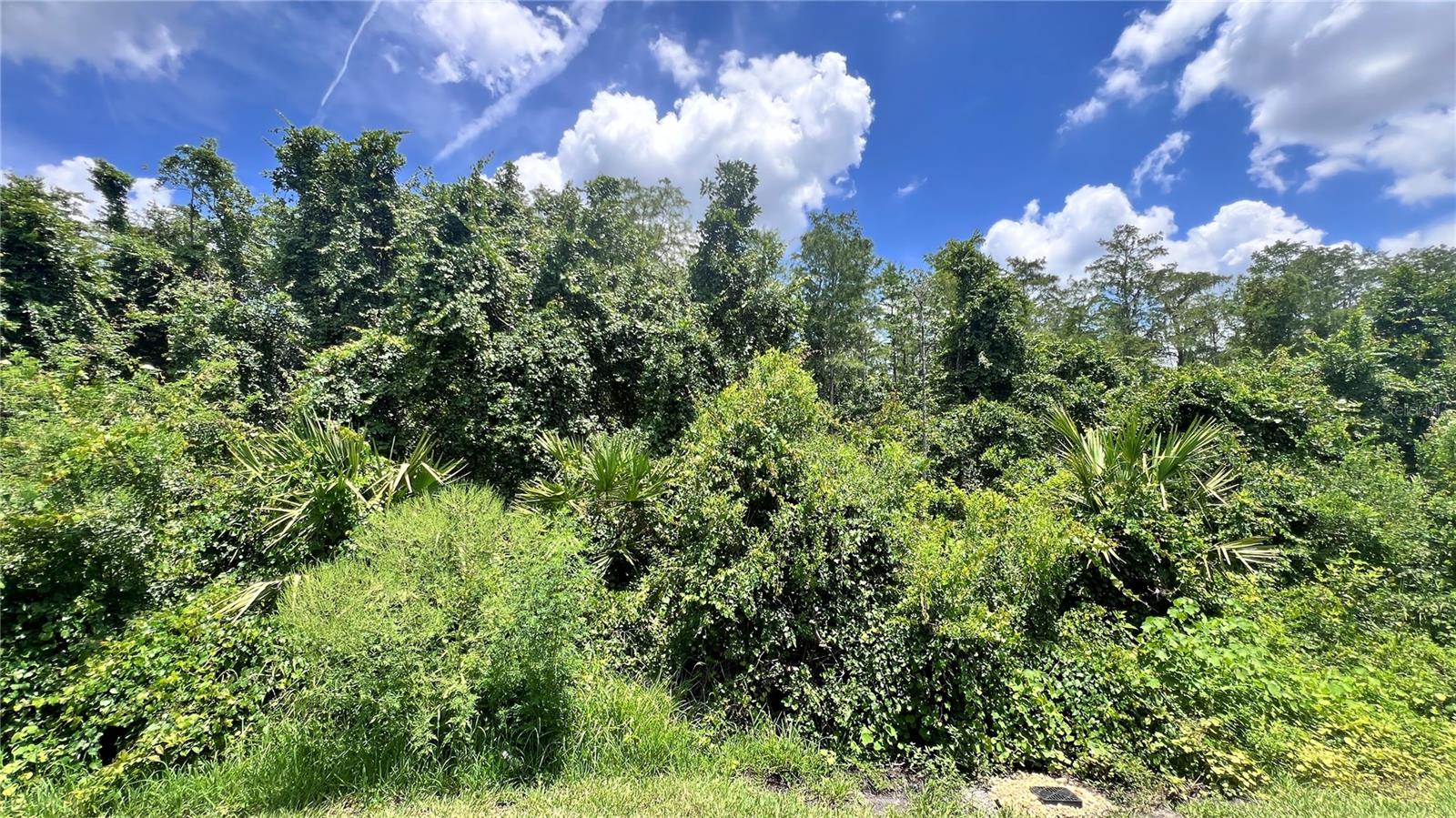 6173 APOLLOS CORNER WAY, ORLANDO, FL, 32829