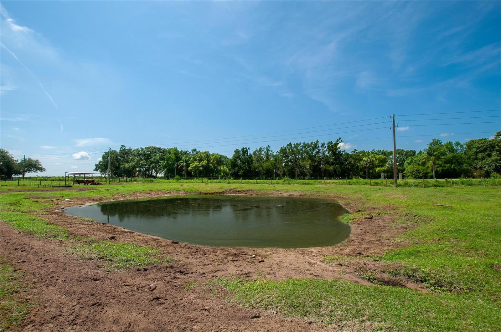 4951 SE AIRPORT RD, ARCADIA, FL, 34266