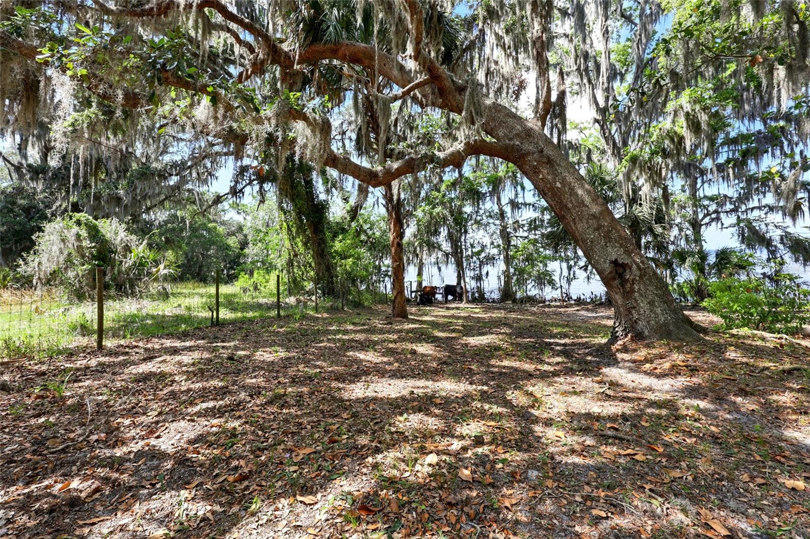 133 FEDERAL POINT RD, EAST PALATKA, FL, 32131
