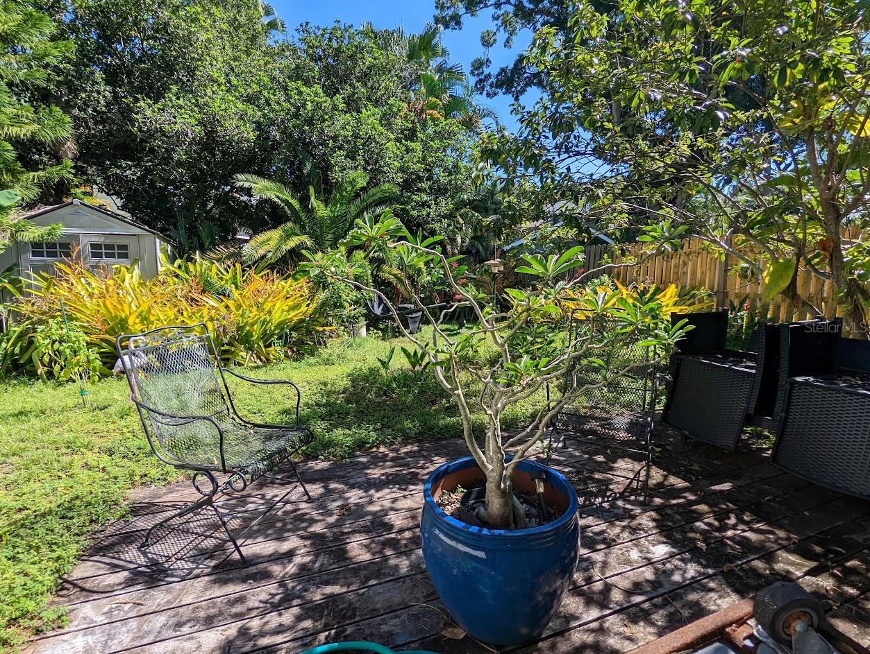 3315 W EMPEDRADO ST, TAMPA, FL, 33629