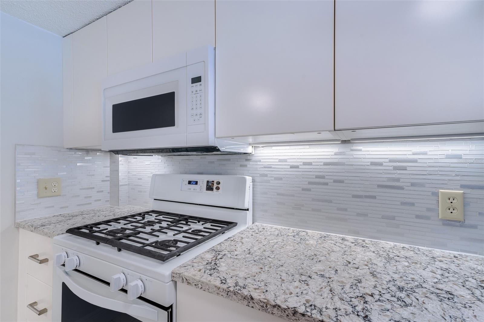 3315 W EMPEDRADO ST, TAMPA, FL, 33629