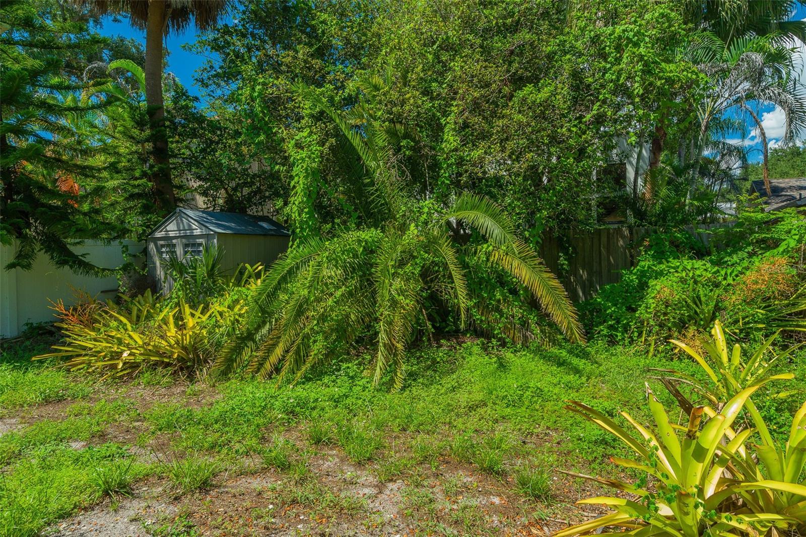 3315 W EMPEDRADO ST, TAMPA, FL, 33629